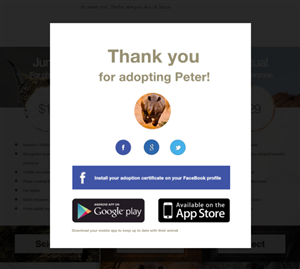 Web Design by Ding for this project | Design: #3233726