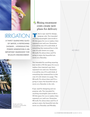 Magazine Design by Bowdidge Design for Green Exchange Panama | Design: #3249510