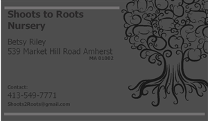 Business Card Design by mxzin09