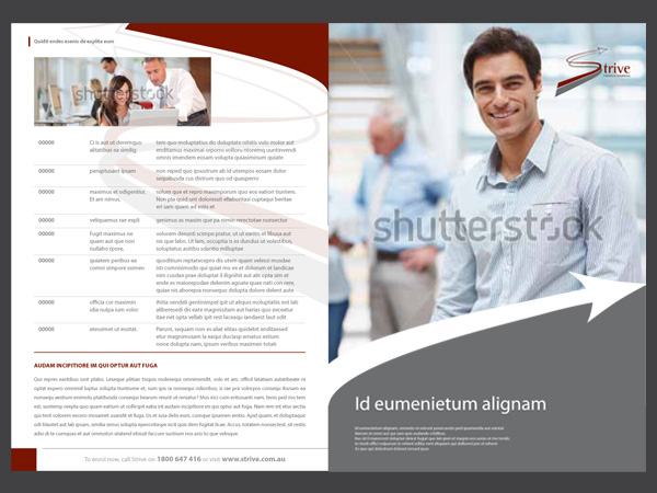 Brochure Design by grafik8 for this project | Design #815524