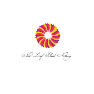 Logo Design by Michael Muyunda