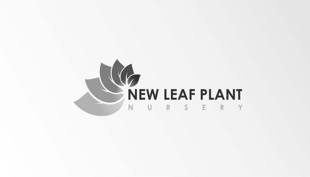 Design de Logo par RD Creative pour ce projet | Design #3256987