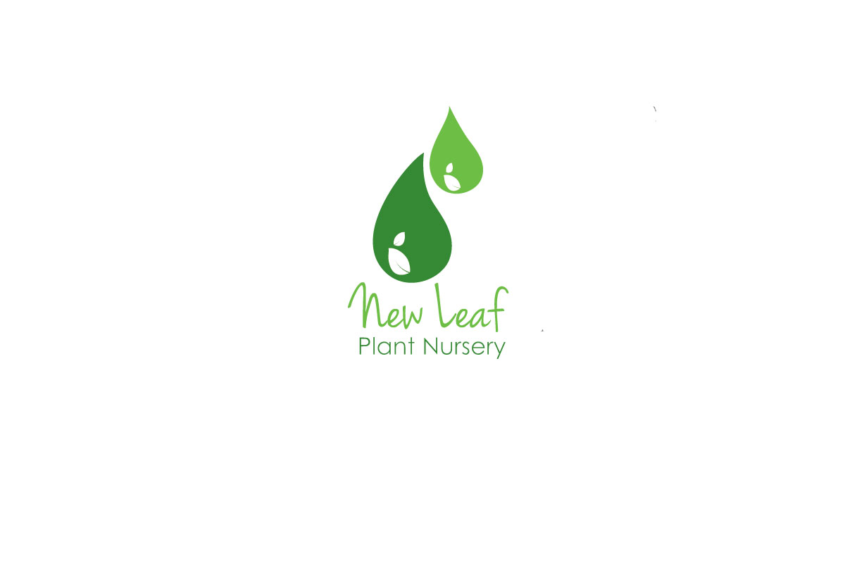Logo Design by pixelbox for this project | Design #3251333