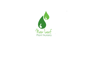 Logo Design by pixelbox for this project | Design: #3251333