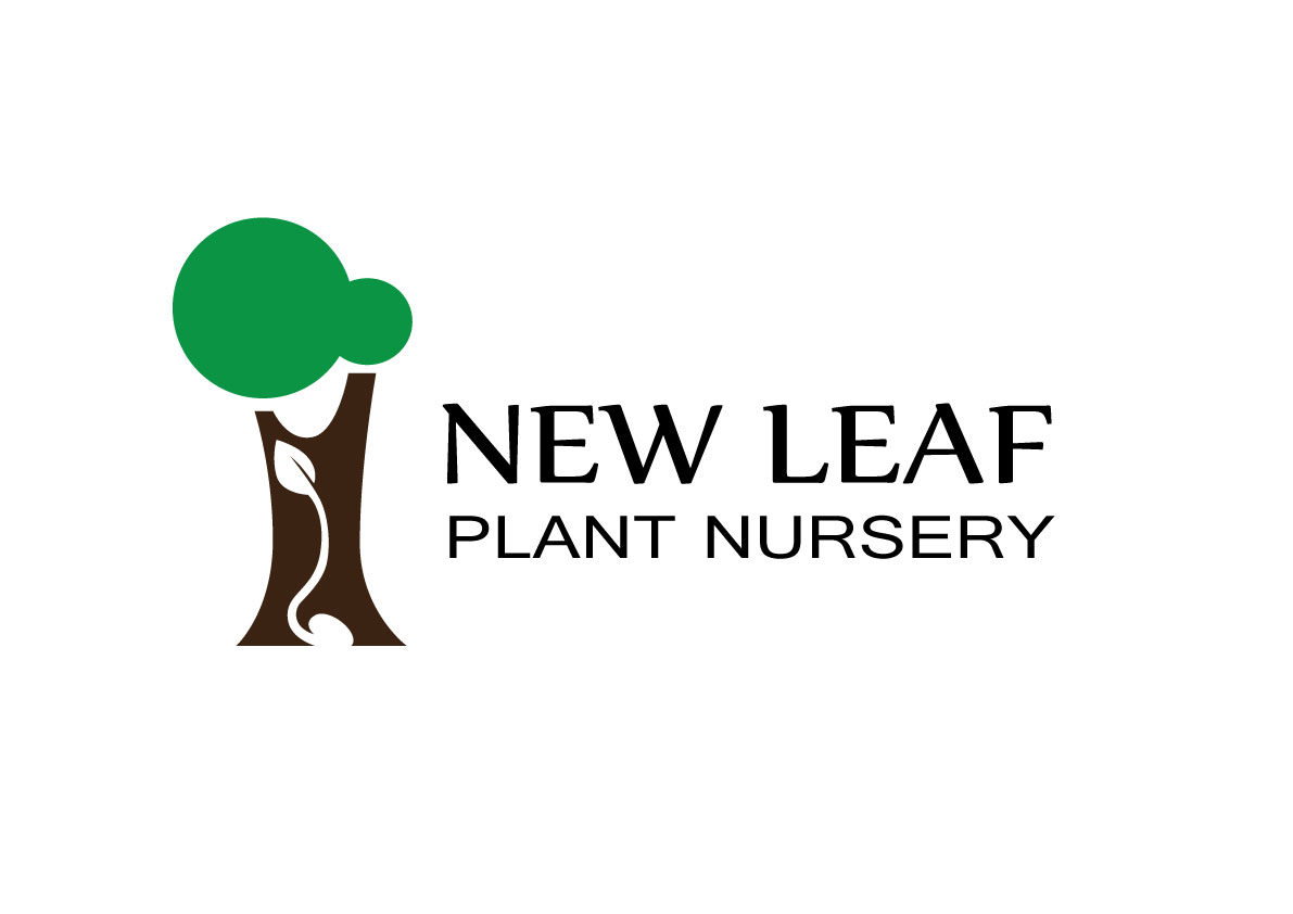 Logo Design by Justin E for this project | Design #3212172