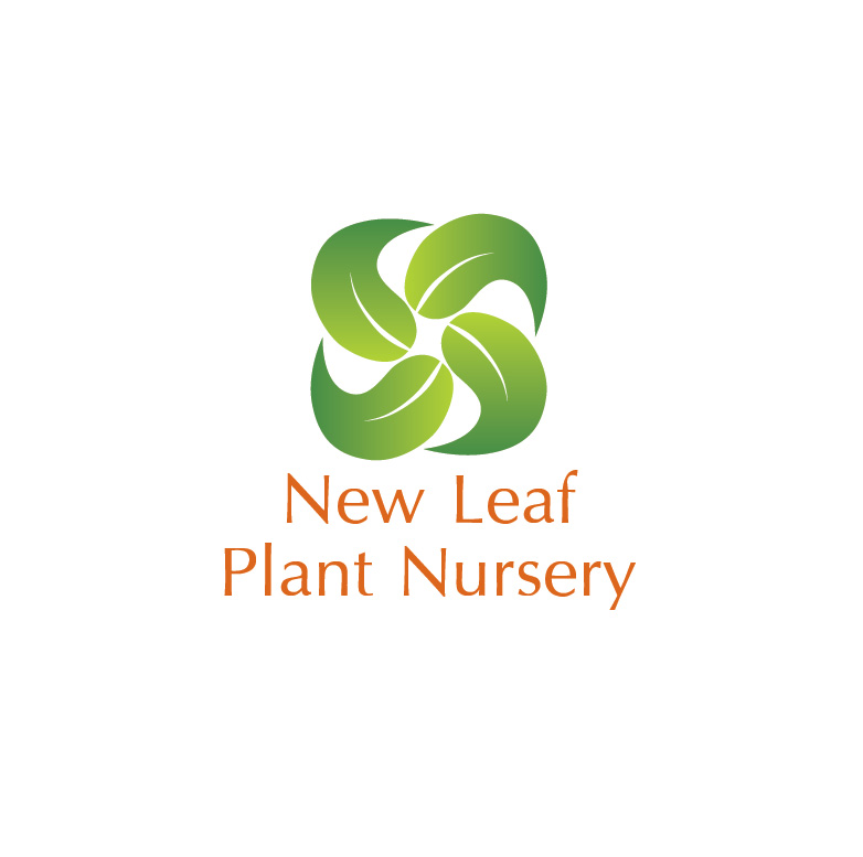 Logo Design by Design Possibilities for this project | Design #3275142