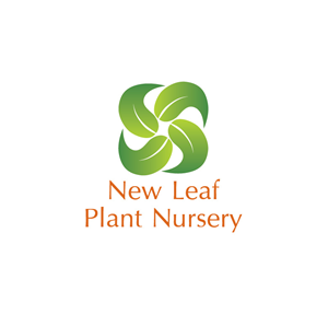 Logo Design by Design Possibilities for this project | Design: #3275142