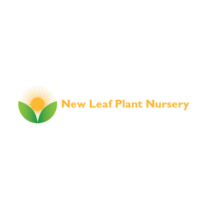 Logo Design by Design Possibilities for this project | Design: #3275222