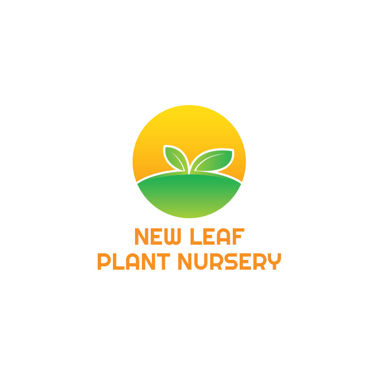 Logo Design by Design Possibilities for this project | Design #3275238