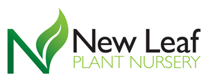 Logo Design by Innerworld Designs ltd. for this project | Design: #3210836