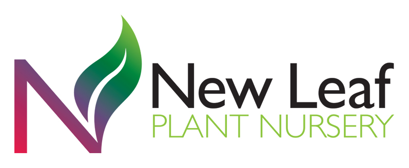 Logo Design by Innerworld Designs ltd. for this project | Design #3256335