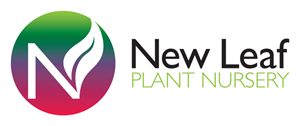 Logo Design by Innerworld Designs ltd. for this project | Design: #3256337