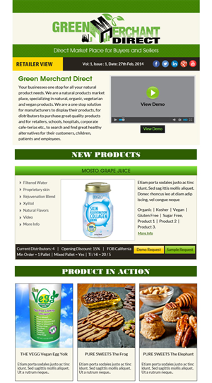 Newsletter Design by Expert Designer for Visions of Health | Design: #3262457
