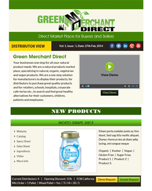Diseño de Newsletter por Expert Designer