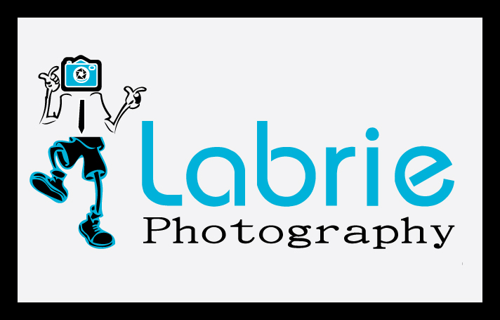 Logo Design by SHRAVAN D.S for Labrie Photography | Design #800401