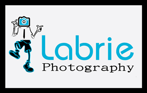 Logo Design by SHRAVAN D.S