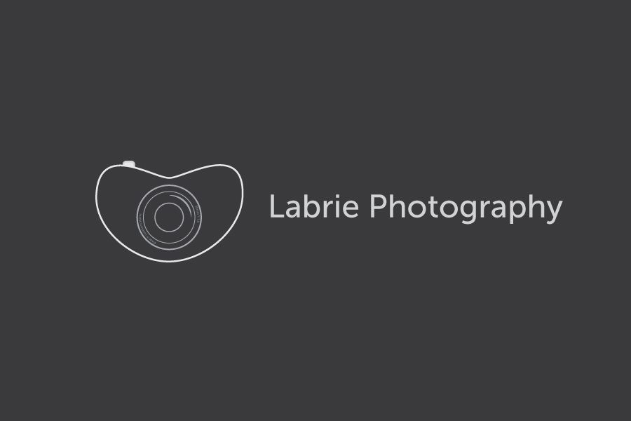 Logo Design by alemotion for Labrie Photography | Design #782238