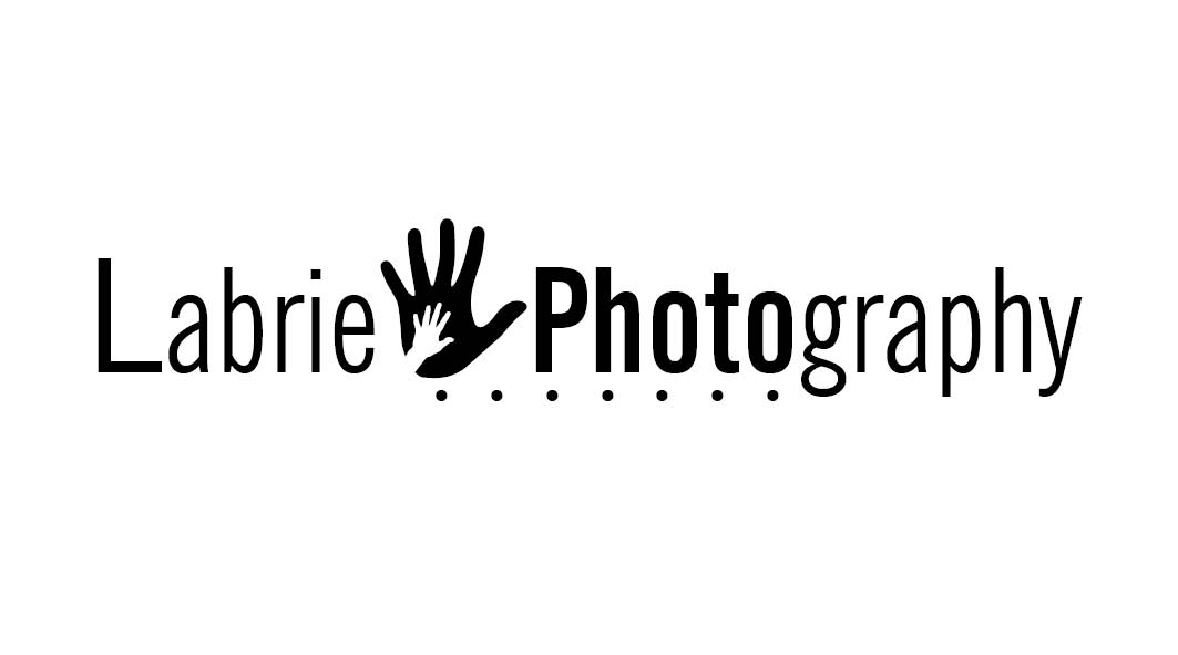 Logo Design by Mudboots for Labrie Photography | Design #786016