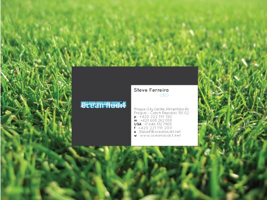 Business Card Design by Bangla Logo for this project | Design #790109
