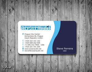 Business Card Design by SKYdesign for this project | Design: #790078