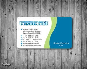 Business Card Design by SKYdesign for this project | Design: #790201