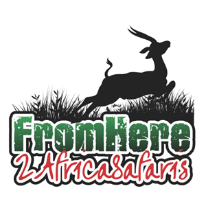 Logo Design by JD_LOGO for From Here to Africa Safaris  | Design #3225499