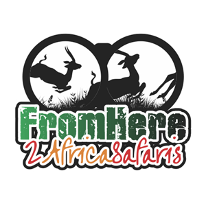 Logo Design by JD_LOGO for From Here to Africa Safaris  | Design: #3225500