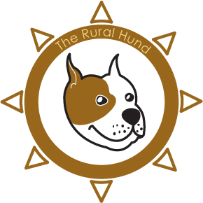 Logo Design by Ray Mokhtare