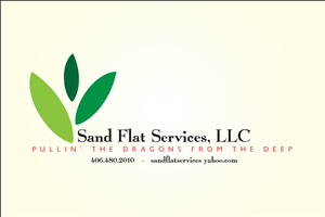 Logo Design by Asim Nizami for this project | Design: #3238641