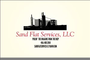 Logo Design by Asim Nizami for this project | Design: #3238642