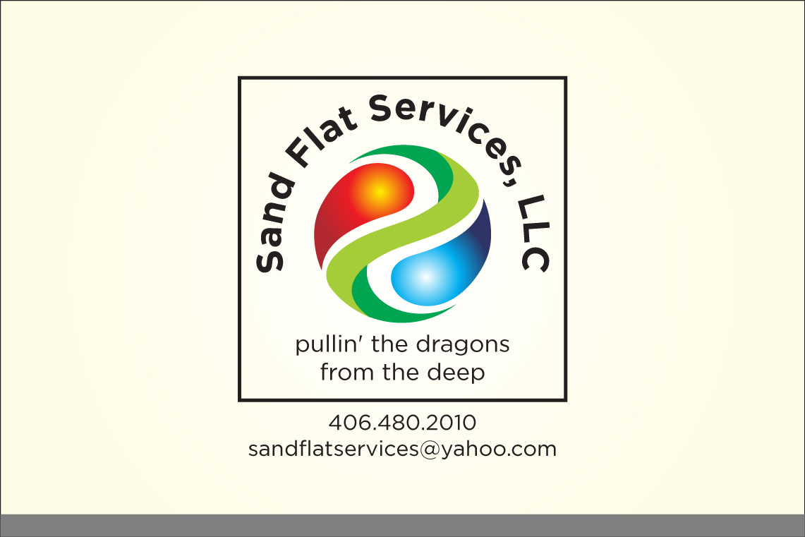 Logo Design by Asim Nizami for this project | Design #3238645