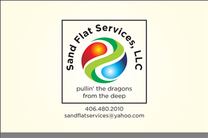 Logo Design by Asim Nizami for this project | Design: #3238645