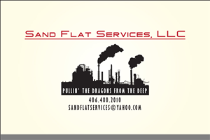 Logo Design by Asim Nizami for this project | Design: #3238648