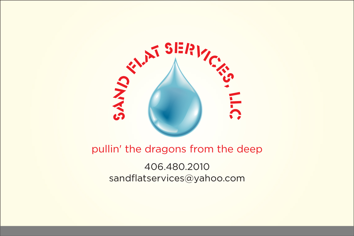 Logo Design by Asim Nizami for this project | Design #3238655