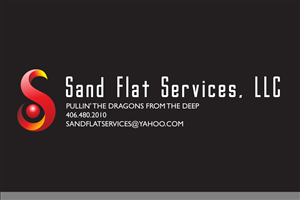 Logo Design by Asim Nizami for this project | Design: #3238658