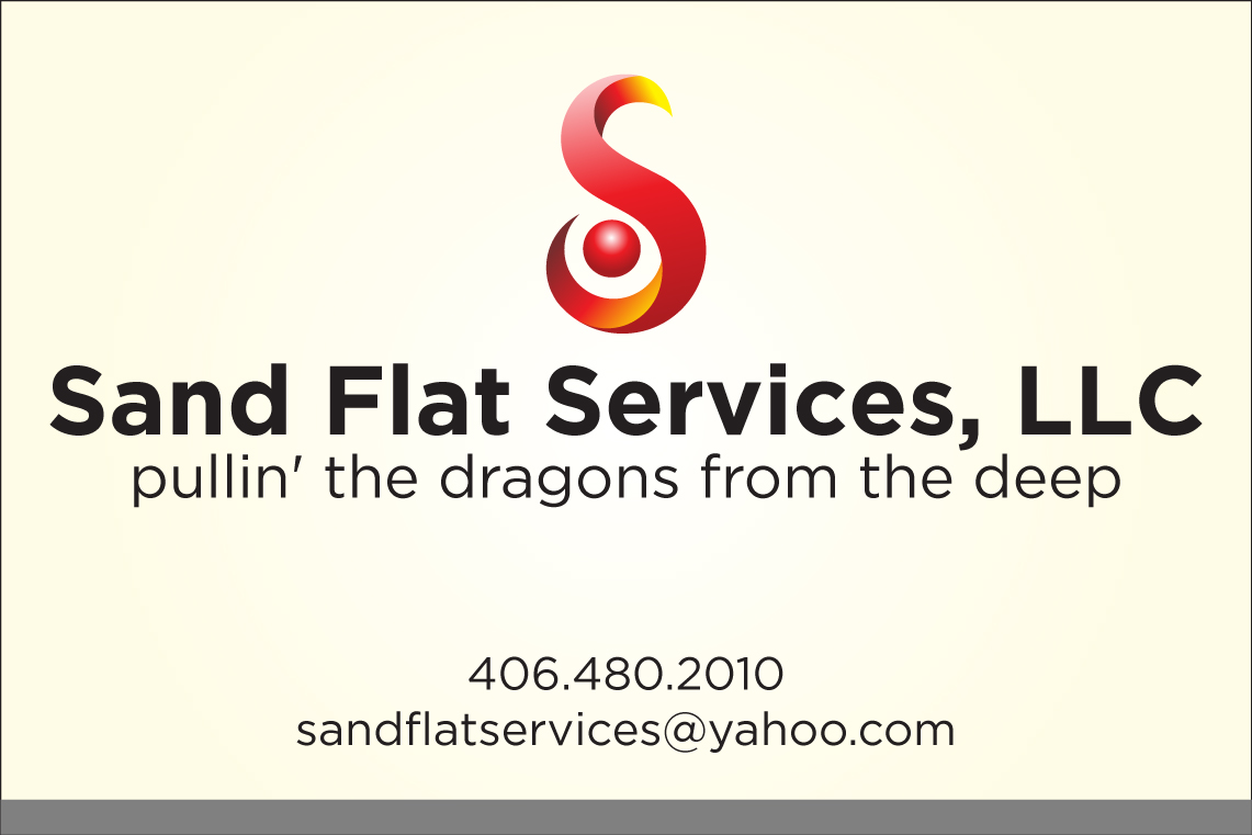 Logo Design by Asim Nizami for this project | Design #3238659