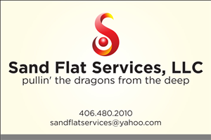 Logo Design by Asim Nizami for this project | Design: #3238659