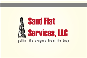 Logo Design by Asim Nizami for this project | Design: #3238666