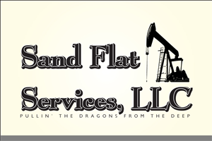 Logo Design by Asim Nizami for this project | Design #3238668
