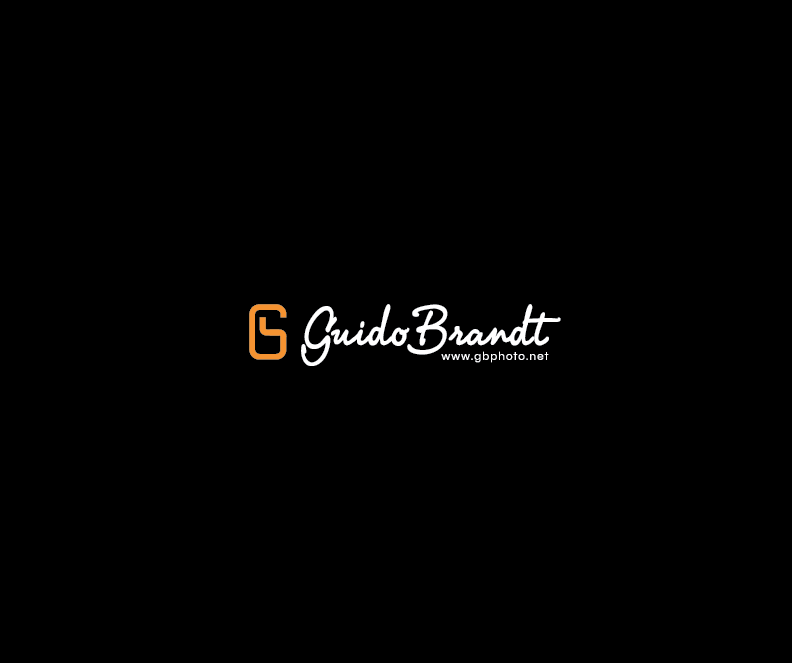 Logo Design by designedbykyle for Guido Brandt Photography | Design #3223978