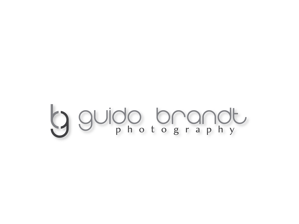 Logo Design by graphycode for Guido Brandt Photography | Design #3247152