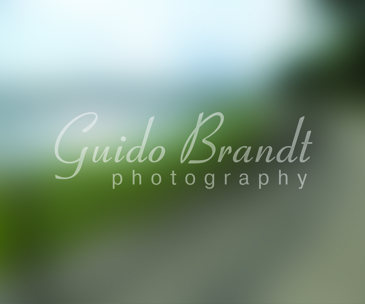 Logo-Design von India Jane für Guido Brandt Photography | Design #3217788