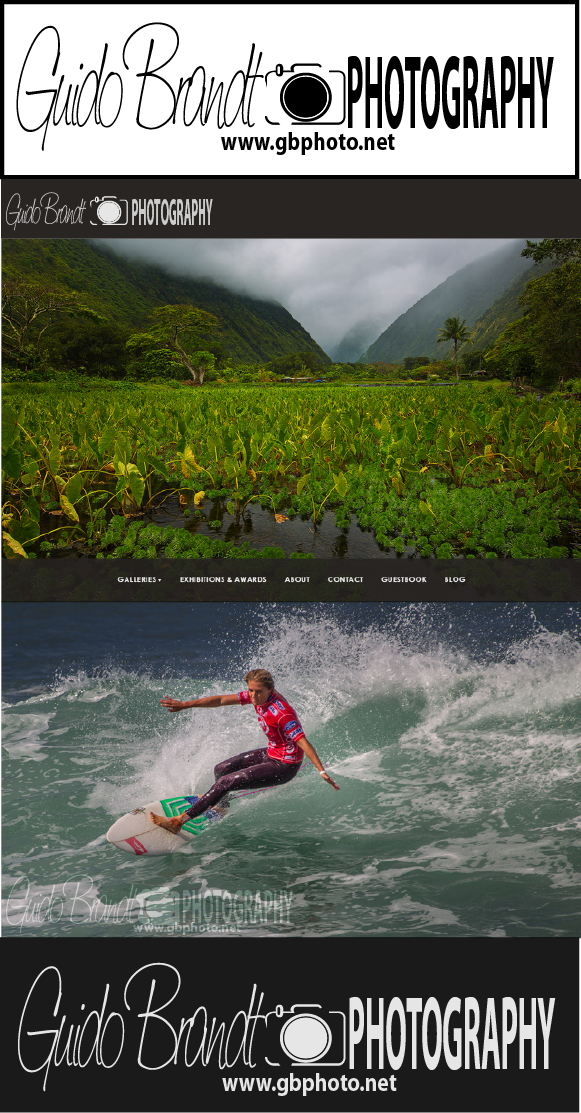 Logo Design by li8li for Guido Brandt Photography | Design #3236272