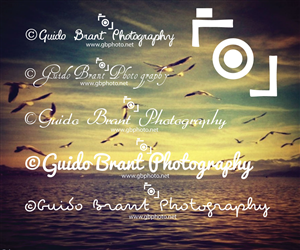 Logo Design by anshtoyj