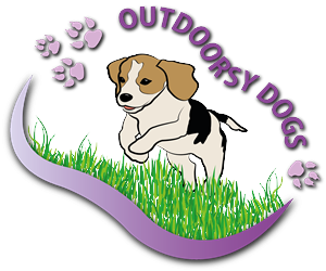 Logo Design by sisilova_82