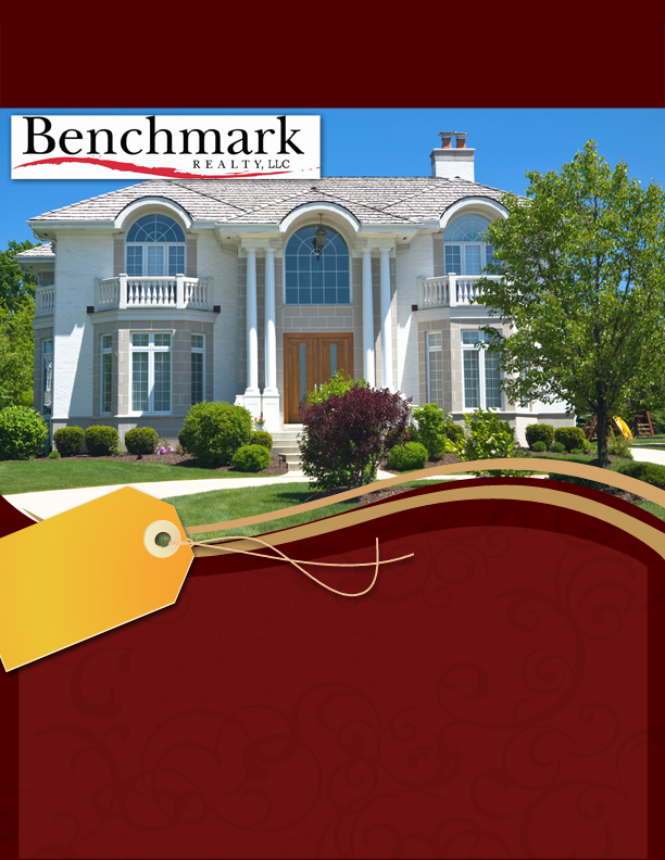 Diseño de Flyer por lady_chekai1987 para este proyecto | Diseño #821398