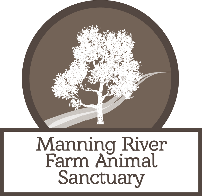 Logo Design by D by JB for this project | Design #3231189