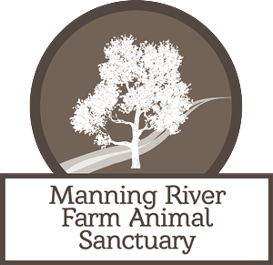 Logo Design by D by JB