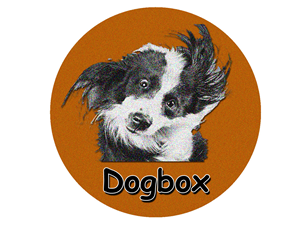 Logo Design by PRAMIX