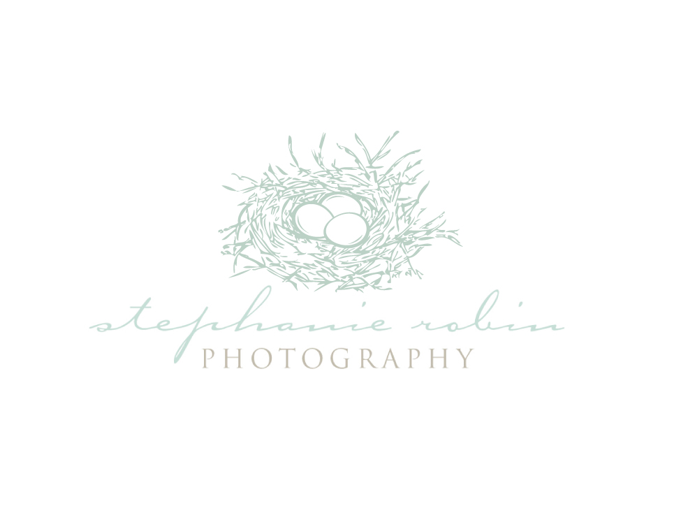 Logo Design by DezignFreak for Stephanie Robin Photography & Design | Design #3291068